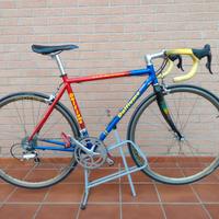 Bicicletta sportiva.
