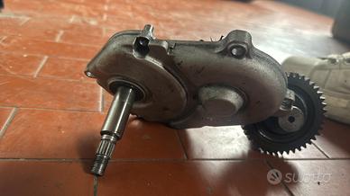 copri  e rapporti minarelli orizzontale