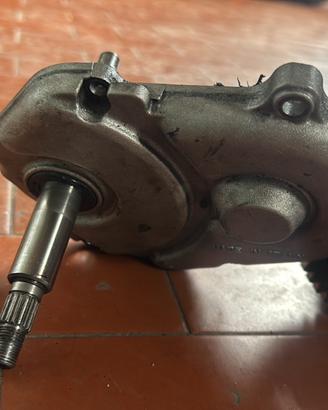 copri  e rapporti minarelli orizzontale