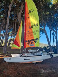 HOBIE CAT 15