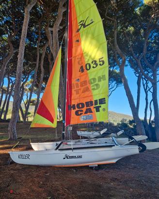 HOBIE CAT 15