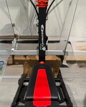Palestra