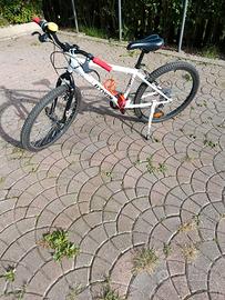 Mountain bike Rock Raider 300 ruote da 24"