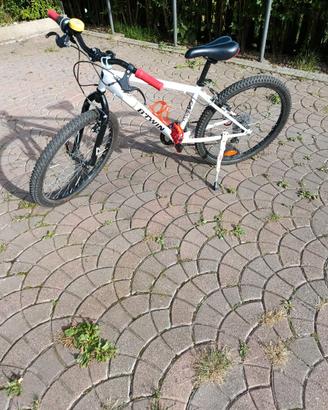 Mountain bike Rock Raider 300 ruote da 24"