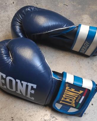 Guanti Leone 1947 - Mis. 10oz - Mod. Energy