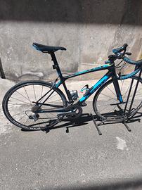 Giant TCR SL