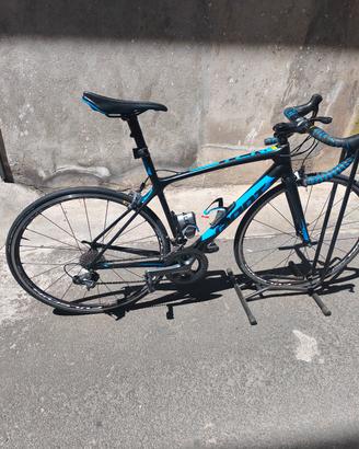 Giant TCR SL