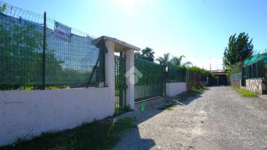 TER. AGRICOLO A EBOLI