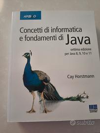 Concerti di informatica e fondamentali Java