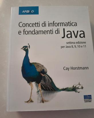 Concerti di informatica e fondamentali Java
