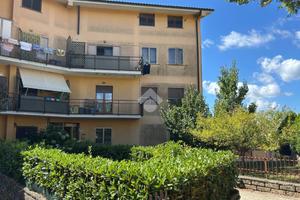 2 LOCALI A GROTTE DI CASTRO