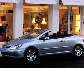 Peugeot 307 - 2005