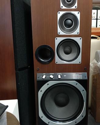 Rarissimi diffusori Philips 9819 Multilinear