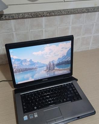 Notebook Toshiba con Windows 10 e SSD