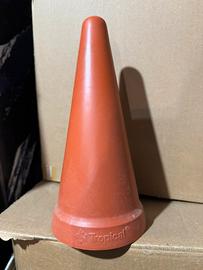 Cono tropical discus pesci