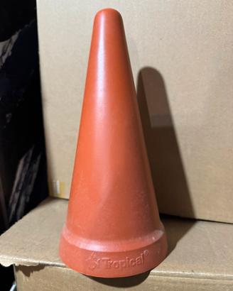 Cono tropical discus pesci