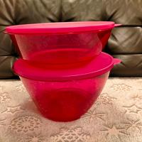 Tupperware ciotola ciotole con coperchio