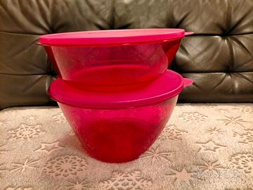 Tupperware ciotola ciotole con coperchio