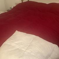 Piumone matrimoniale