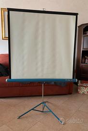 Telo da proiezione Da-Lite vintage