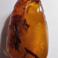 Antica ambra baltica naturale non trattata non mig