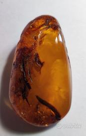 Antica ambra baltica naturale non trattata non mig