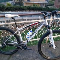Bianchi 29"