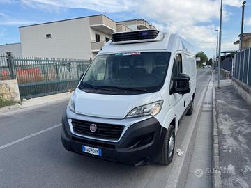 Fiat ducato 2.3 mjet frigorifero -20 gradi 019