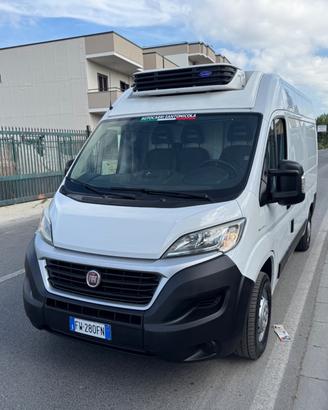 Fiat ducato 2.3 mjet frigorifero -20 gradi 019