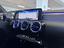 Immagine 12