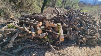 Legna da ardere