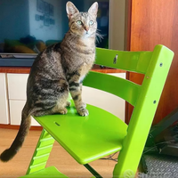 sedia Stokke Tripp Trapp Crescita progressiva