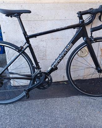 Cannondale optimo II