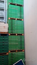 Padelle richiudibili imballaggi pvc
