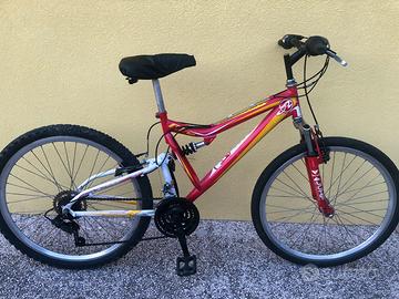 Bicicletta ammortizzata