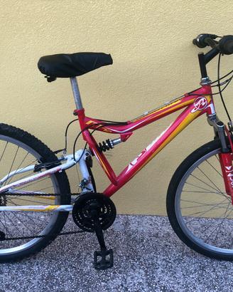 Bicicletta ammortizzata