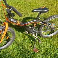 bicicletta