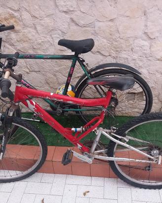 bicicletta 
