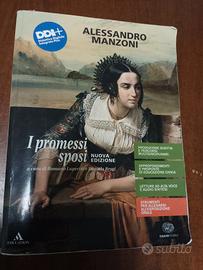 i promessi sposi
