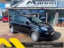 fiat-panda-1-0-mild-hybrid-vetri-oscurati