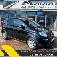 FIAT Panda 1.0 MILD- Hybrid VETRI OSCURATI