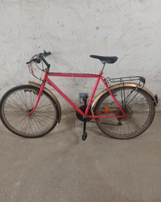 Bici da città Uomo/donna Rossa con portapacchi eco