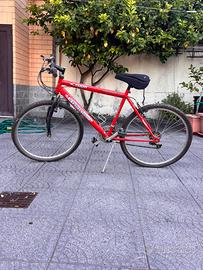 Bicicletta