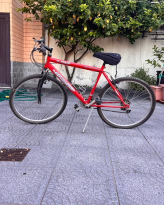 Bicicletta