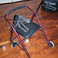 Deambulatore - girello disabili e anziani