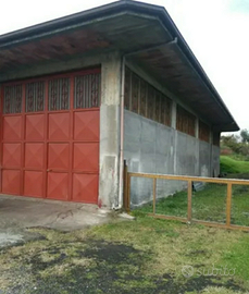 Immobile garage