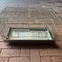 Gabbia per uccellini