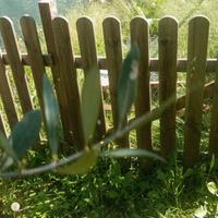 Staccionata in legno