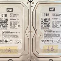 Coppia 2TB (2x1TB) WD Red PLUS - WD10EFRX