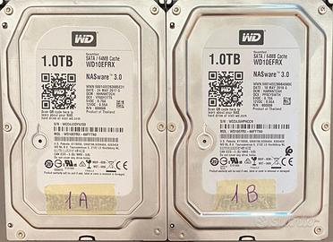 Coppia 2TB (2x1TB) WD Red PLUS - WD10EFRX